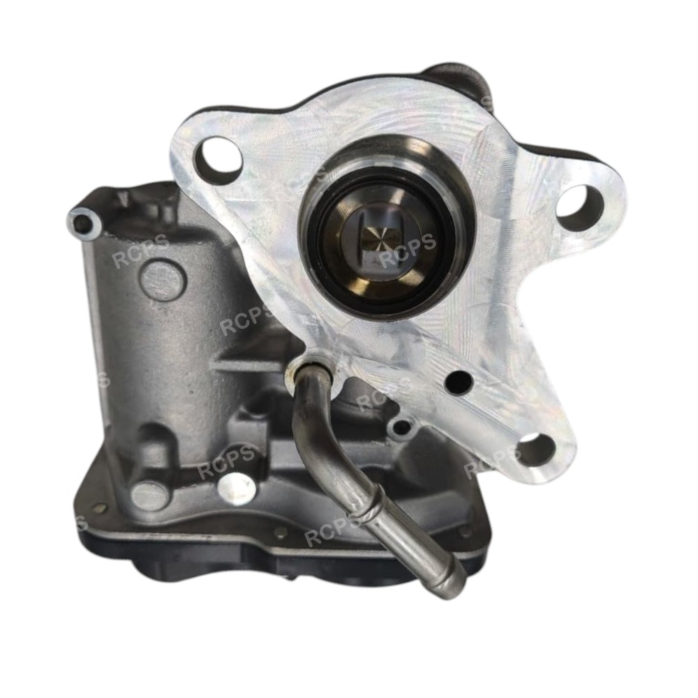 DFD1101RC_01-1.jpg